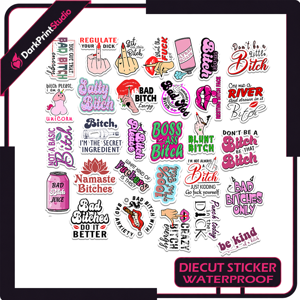 30PCS Bitch Quote Stickers – Funny Bitch Stickers, Sassy Quote Sticker Pack, Waterproof Vinyl Decals