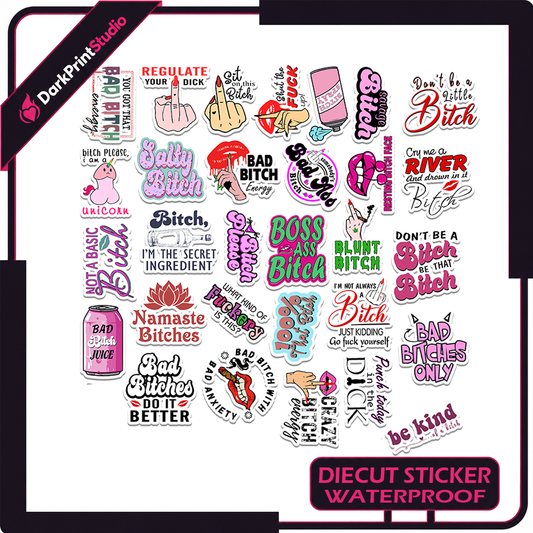 30PCS Bitch Quote Stickers – Funny Bitch Stickers, Sassy Quote Sticker Pack, Waterproof Vinyl Decals